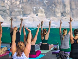 Yoga with the Penguins