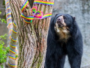 LGBTQ+ Family Day of Visibility