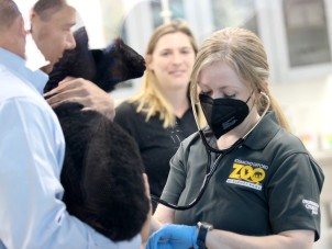 Animal Health Center Opening